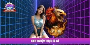kinh nghiệm cược đá gà