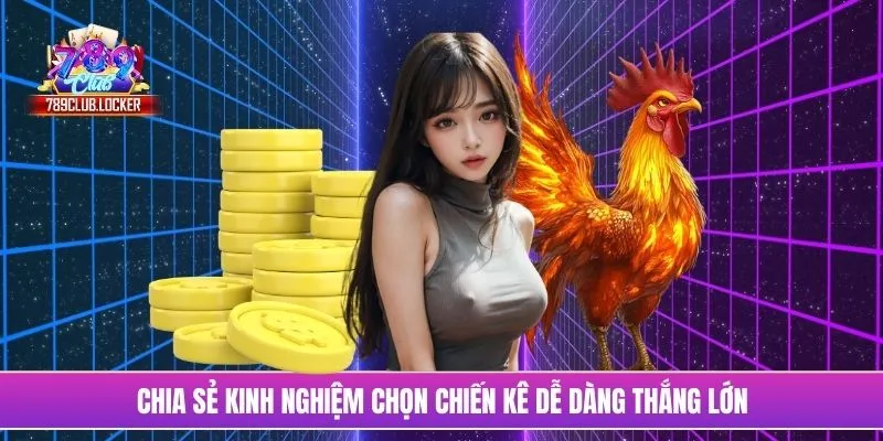 Chia sẻ kinh nghiệm chọn chiến kê dễ dàng thắng lớn