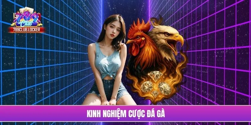 kinh nghiệm cược đá gà
