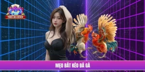 mẹo bắt kèo đá gà