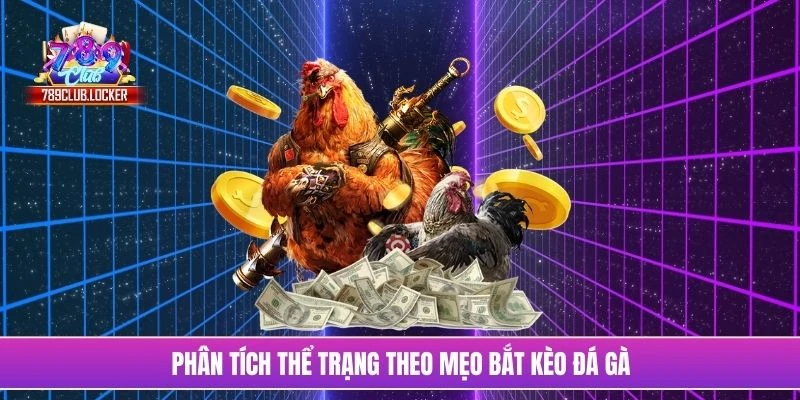 Phân tích thể trạng theo mẹo bắt kèo đá gà